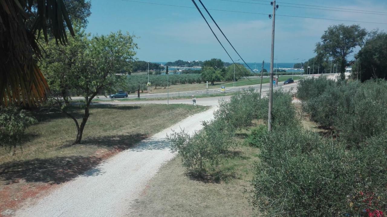 Guest house Guesthouse Porec 3*
